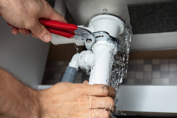 Best Professional water damage repair  in East Niles, CA