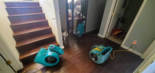 Best 24/7 water damage repair  in East Niles, CA