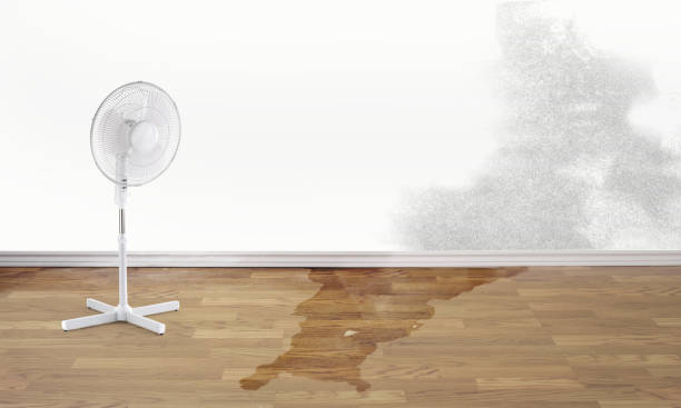 Best 24/7 water damage repair  in East Niles, CA