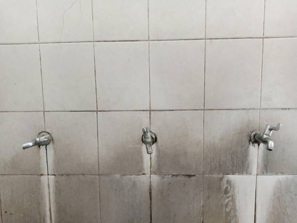 Best Water damage restoration near me  in East Niles, CA