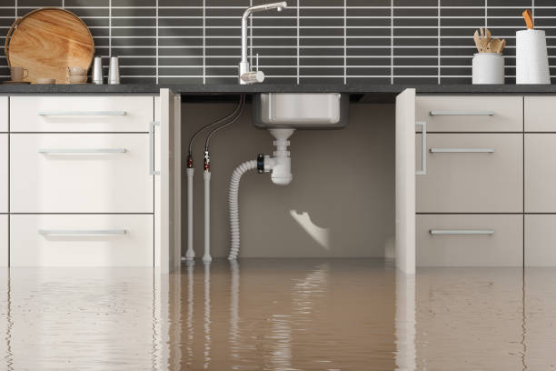 Best 24-hour water damage restoration  in East Niles, CA