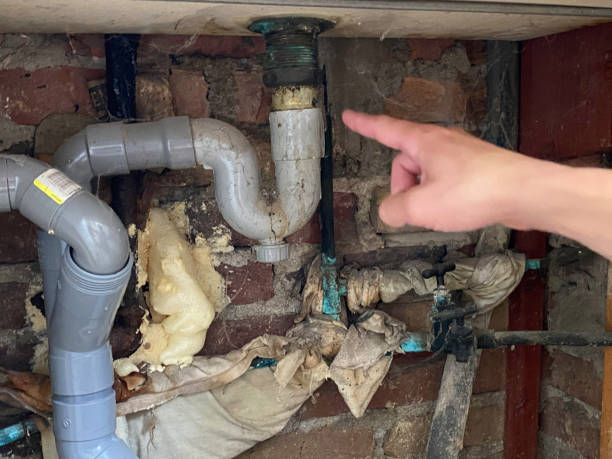 Reliable East Niles, CA Water damage restoration Solutions