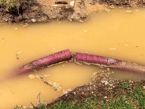 Best Local water damage restoration  in East Niles, CA